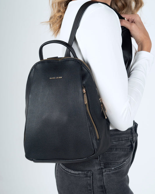 Morral Boston